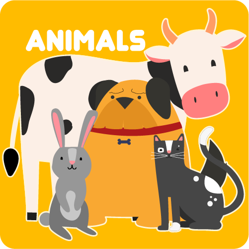 Усі курси – SMARTon.biz